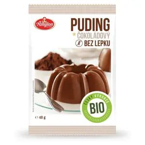 Amylon - Puding čokoládový bezlepkový, BIO, 40 g