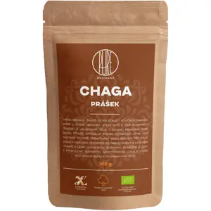 BrainMax Pure Chaga prášek, BIO 100 g