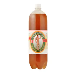 Produkt STEVIKOM - Kombucha zelená, 2l