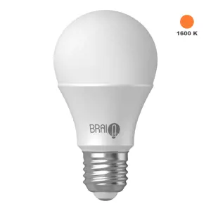 Produkt Žárovka BrainLight Amber Bulb, E27, 7 W, 1600 K