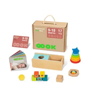 Produkt Mamido Mamido Montessori Edukační box pro děti 9-10 měsíců