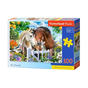 Produkt Puzzle 100 dílků Nejlepší přátelé