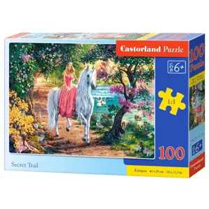 Puzzle 100 dílků Tajná stezka jednorožec princezna