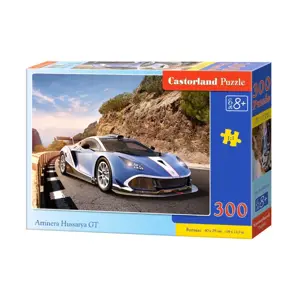 Produkt Puzzle 300 dílků Arrinera Hussarya GT