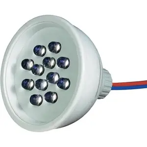 LED SPOT 50mm CERV. 12 LED 24V V AC IP67