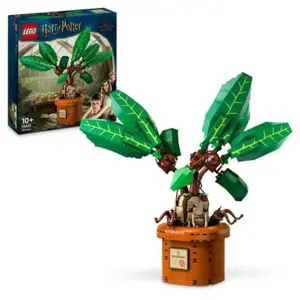 Produkt LEGO 76453 Mandragora