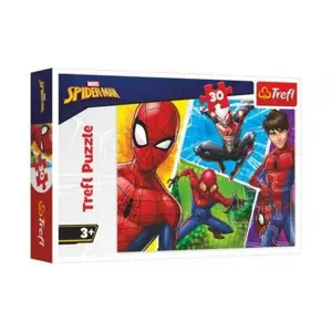 Puzzle Spiderman a Miguel/Disney 27x20cm