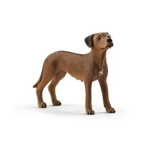 Produkt Schleich 13895 Ridgback rhodéský