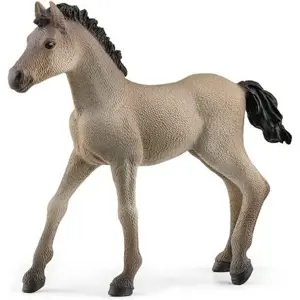 Produkt Schleich 13949 Hříbě Criollo Definitivo