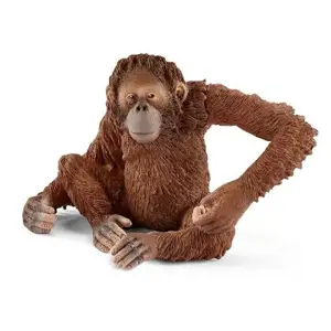 Produkt Schleich 14775 Orangutan samice