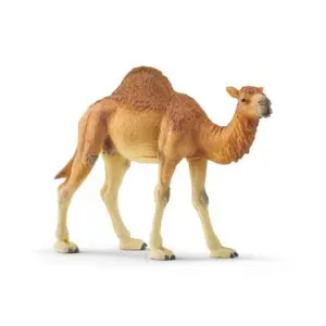 Produkt Schleich 14832 Dromedár