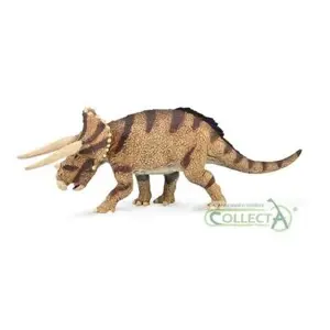 Triceratops horridus