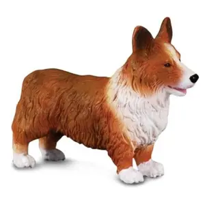 Welsh corgi