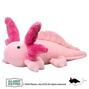 Produkt Wild Planet - Axolotl plyš