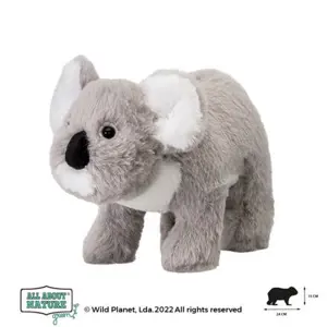 Produkt Wild Planet - Koala plyš